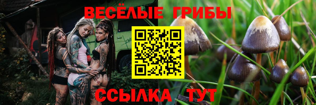 Галлюциногенные грибы GOLDEN TEACHER  Вход с VPN  Ногинск 