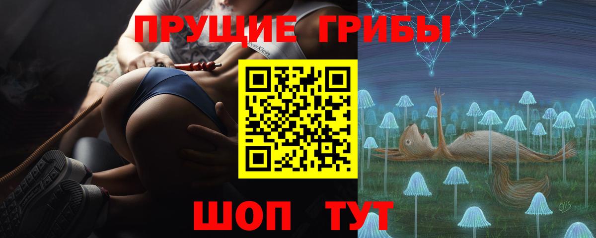 Псилоцибиновые грибы Psilocybine cubensis Ногинск